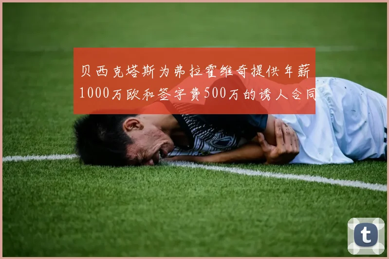 贝西克塔斯为弗拉霍维奇提供年薪1000万欧和签字费500万的诱人合同